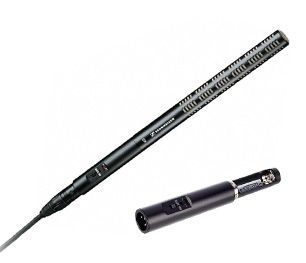 ME66 Mikrofon mieten ME66 Mikrofon leihen